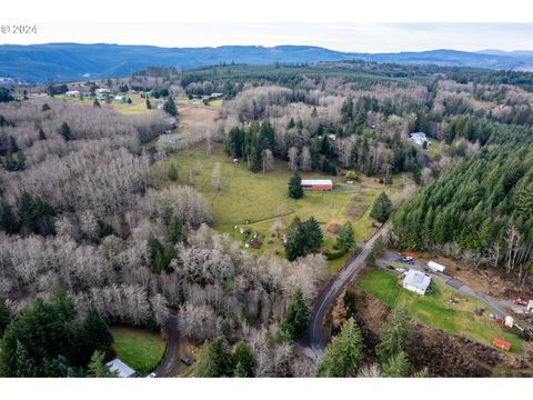 A home in Clatskanie