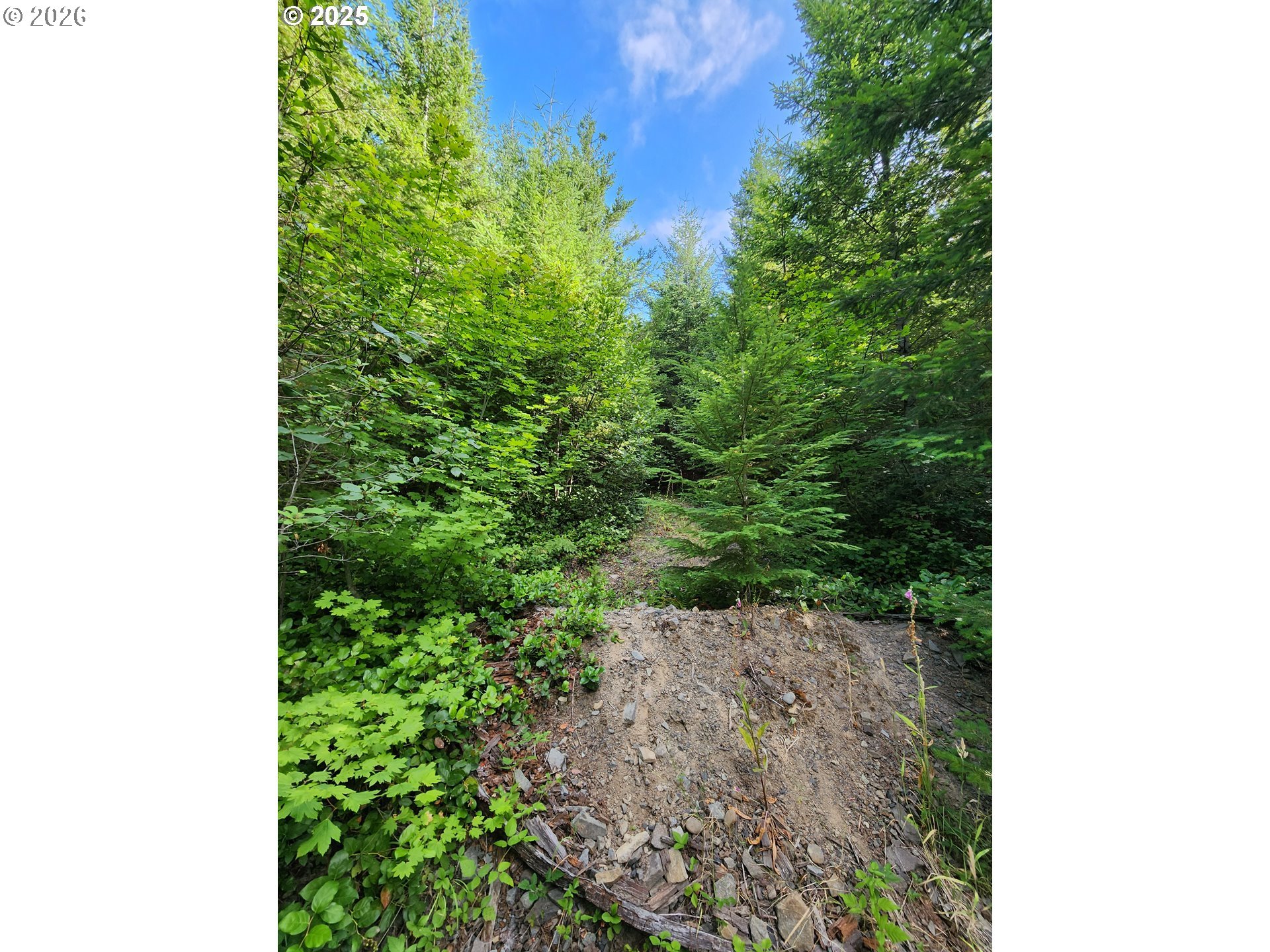 Tumala Mountain Road