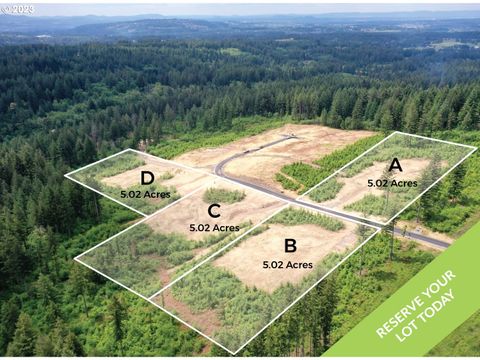 Photo of NE 48th Way #Lot B, Camas, WA 98607 (MLS # 23365248)