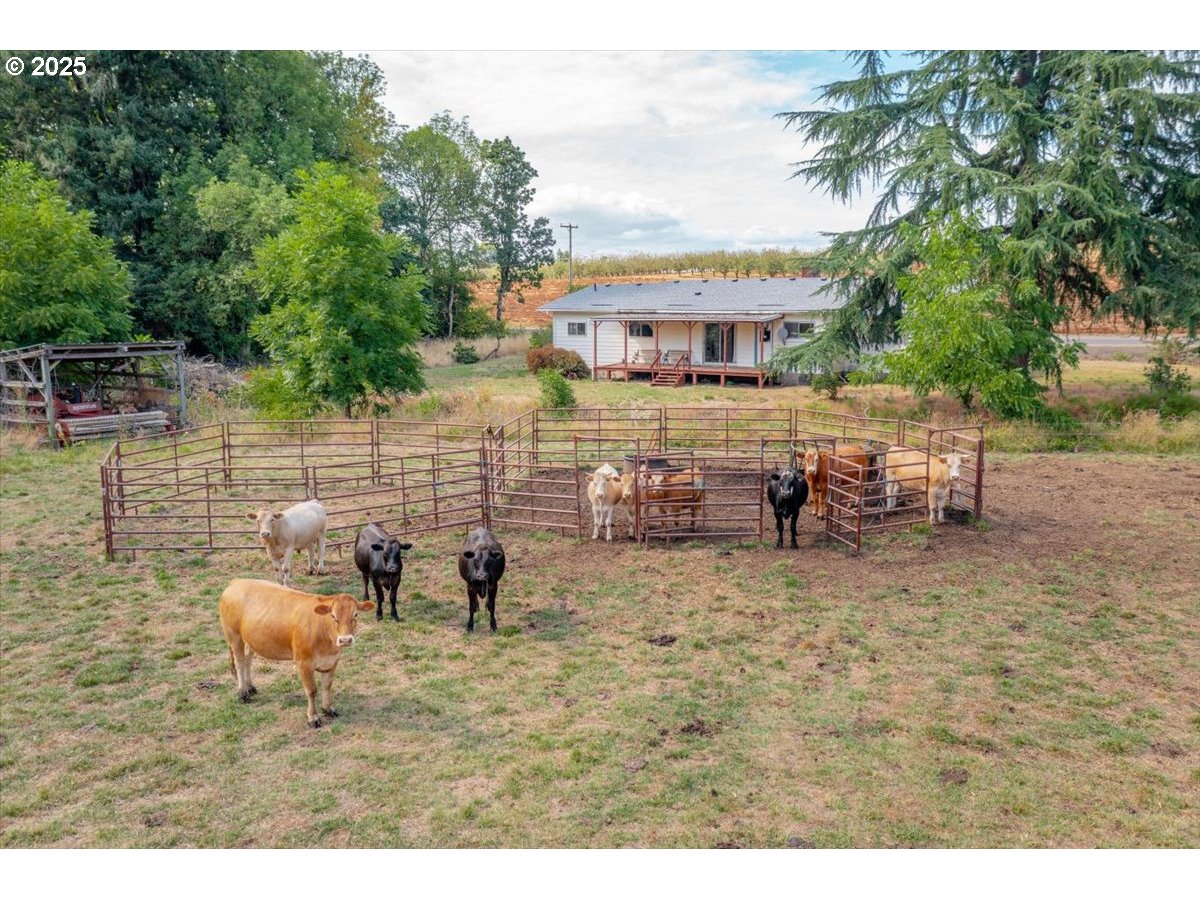 Salem, Oregon 97304, United States, 3 Bedrooms Bedrooms, ,1 BathroomBathrooms,Residential,Active,197084