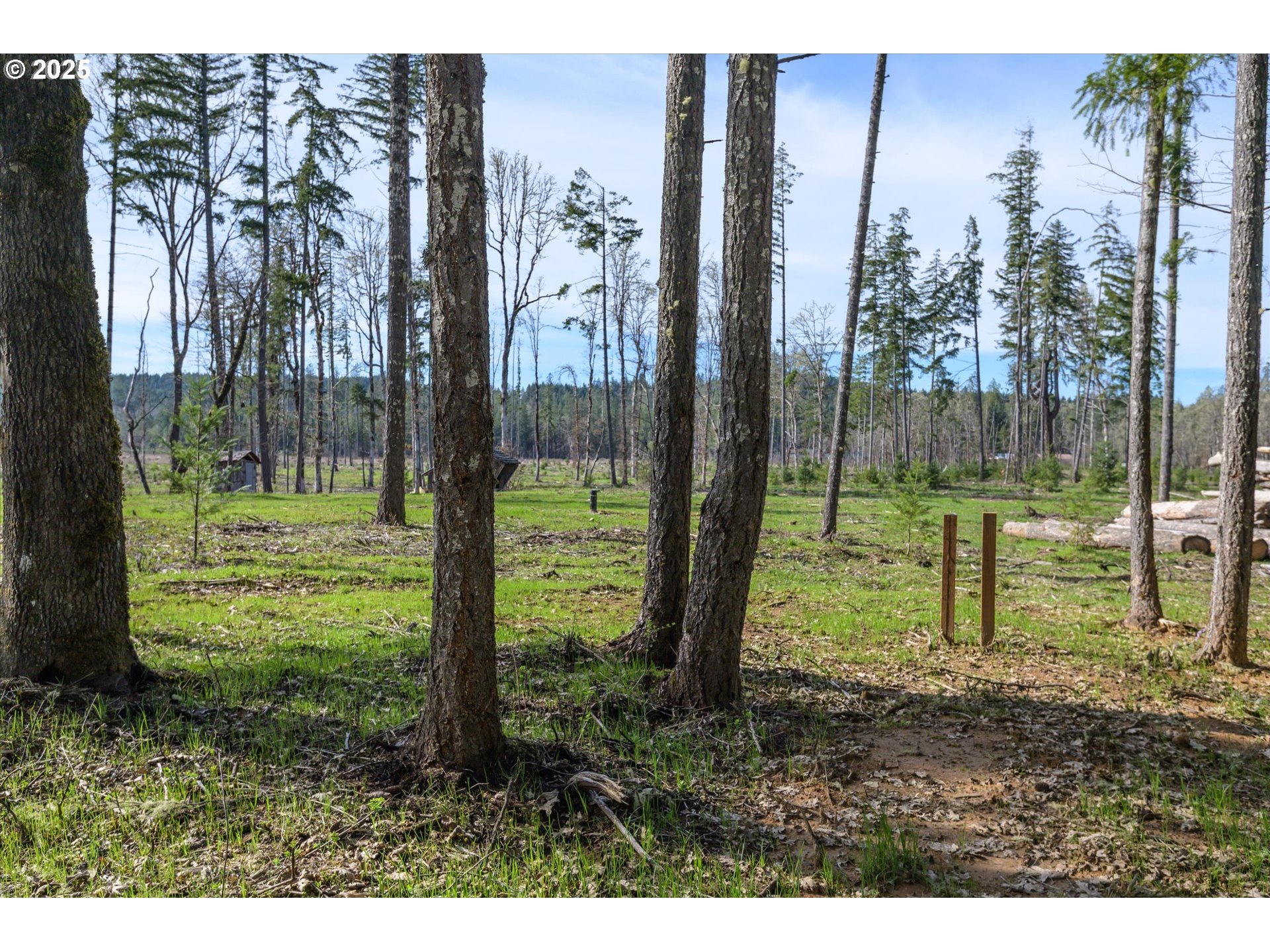 Veneta, Oregon 97487, United States, ,Land,Active,98776