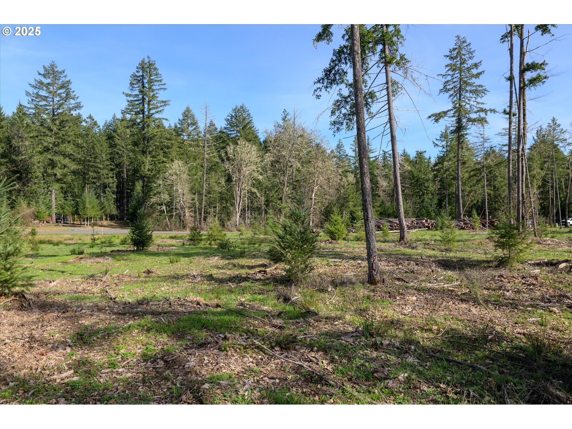 Veneta, Oregon 97487, United States, ,Land,Active,98776