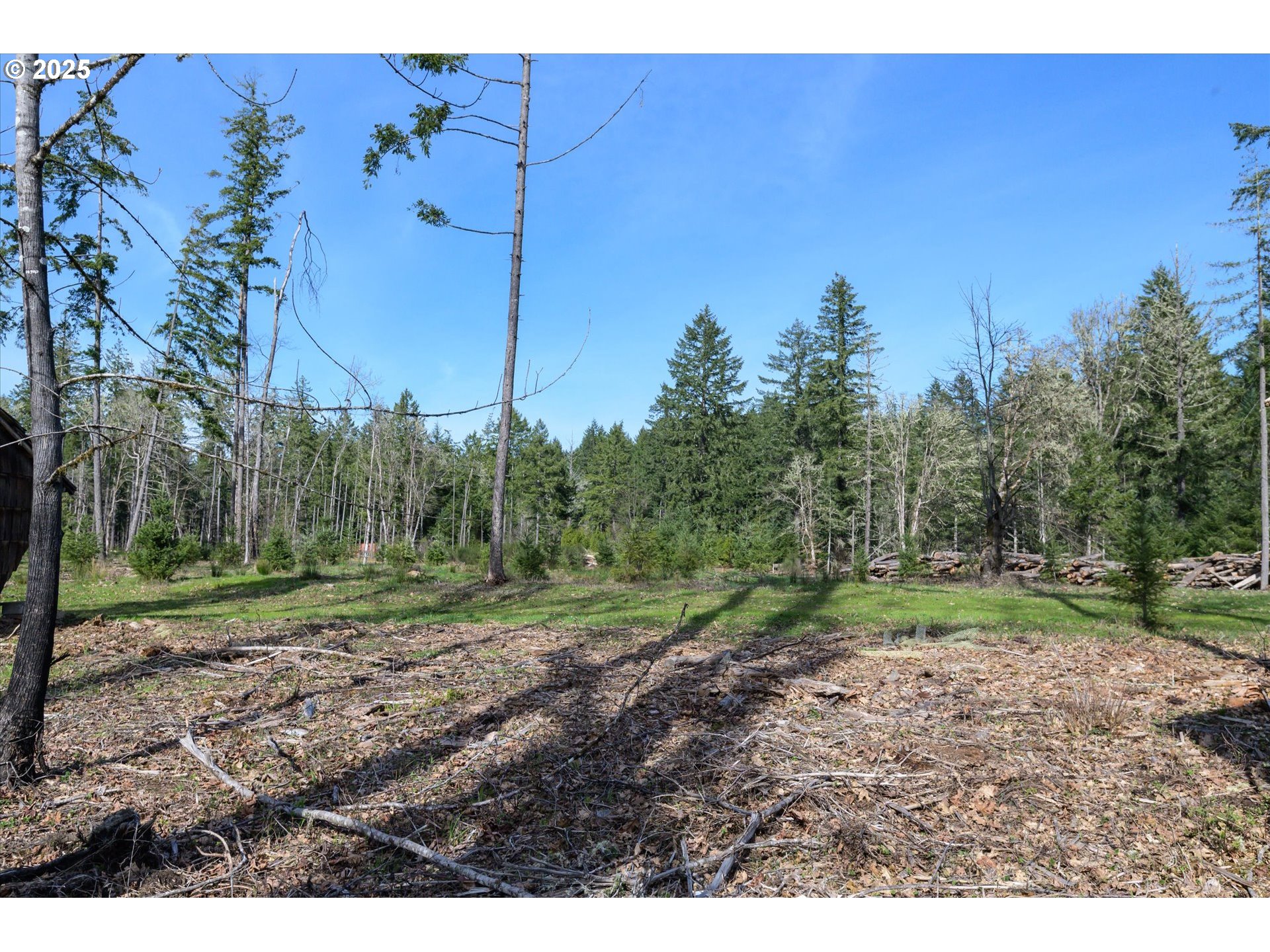 Veneta, Oregon 97487, United States, ,Land,Active,98776