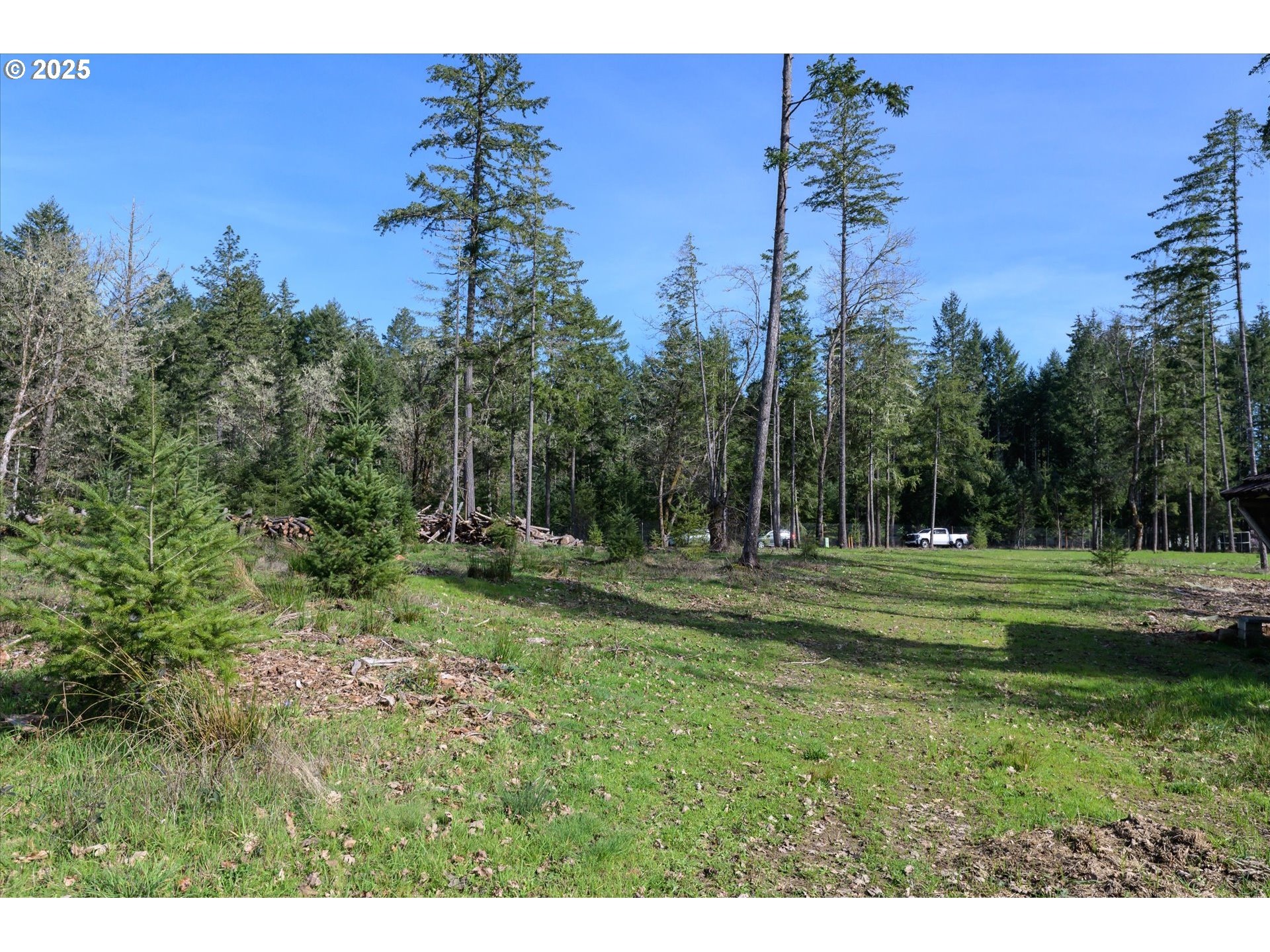 Veneta, Oregon 97487, United States, ,Land,Active,98776