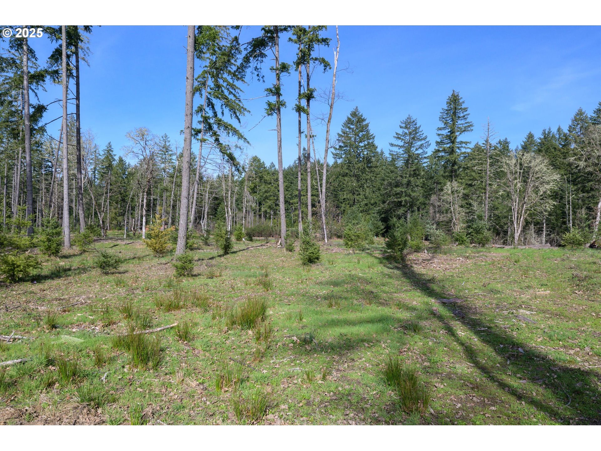 Veneta, Oregon 97487, United States, ,Land,Active,98776