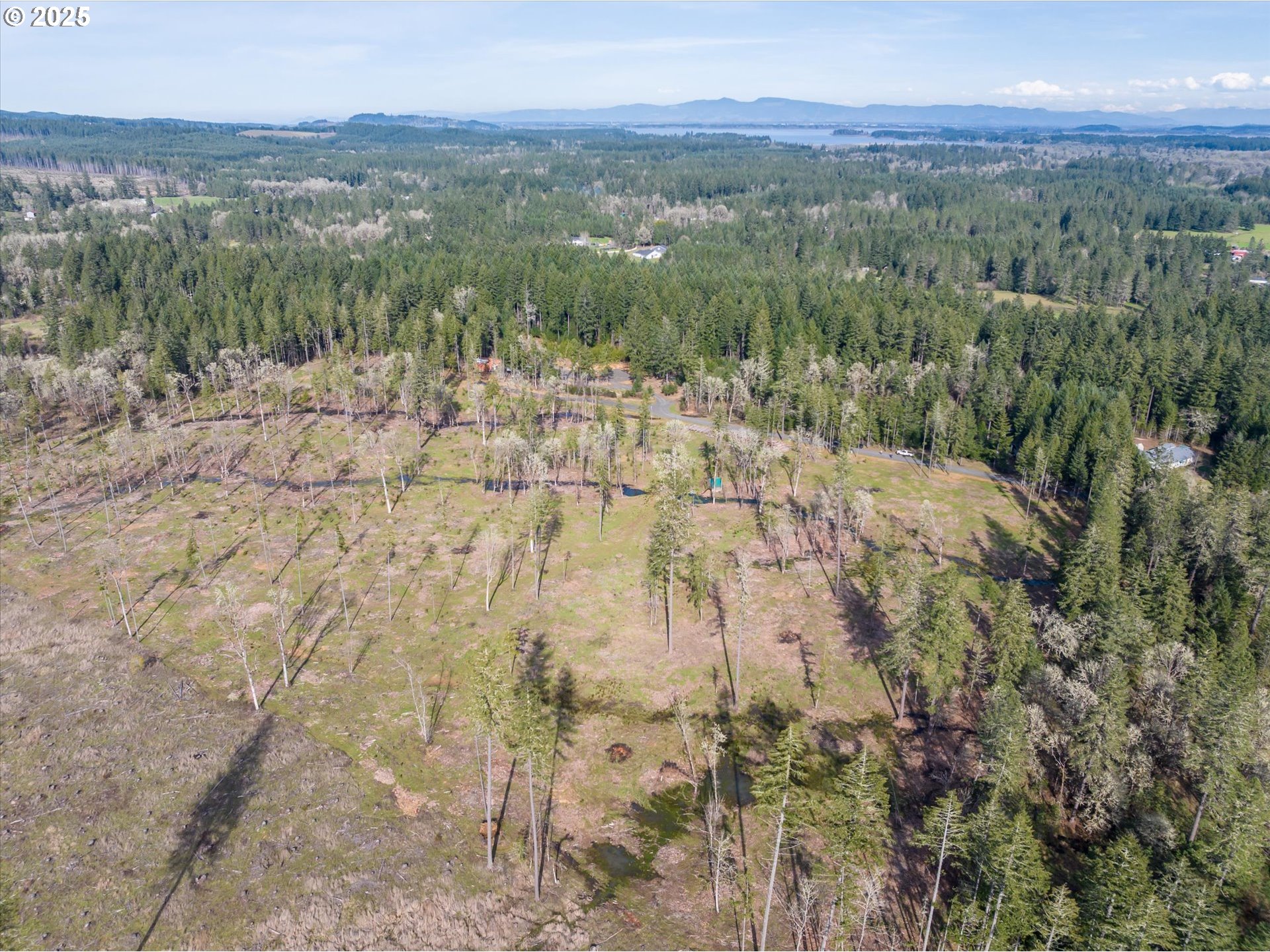 Veneta, Oregon 97487, United States, ,Land,Active,98776