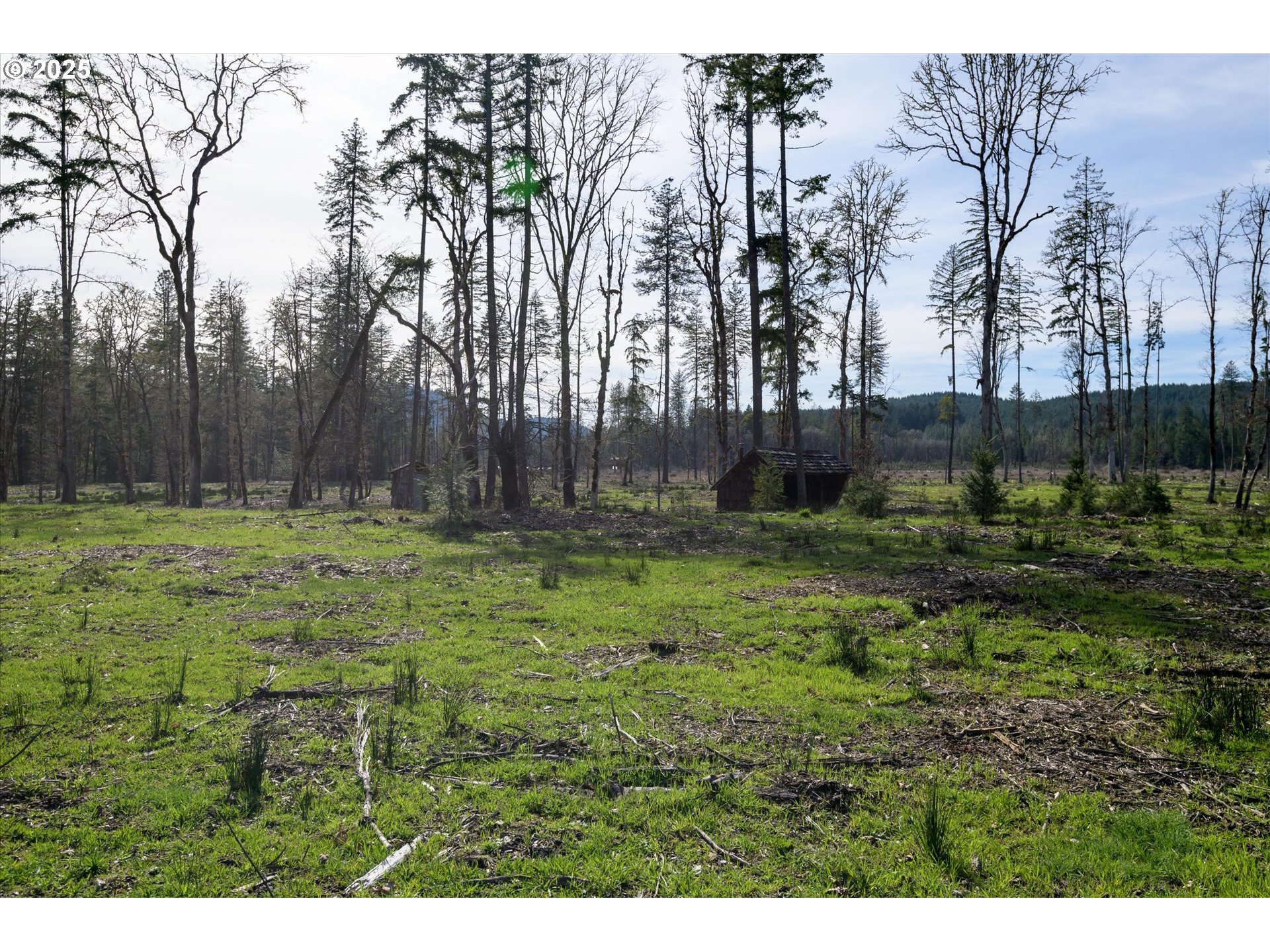 Veneta, Oregon 97487, United States, ,Land,Active,98776