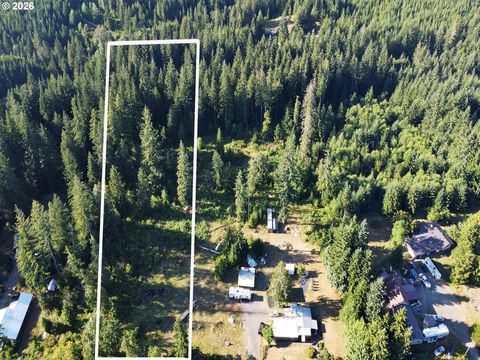 44001 SE TROUT CREEK RD Corbett OR 97019