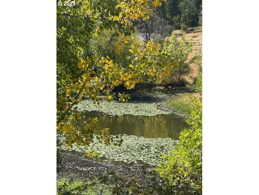 1604 SPRING BROOK RD