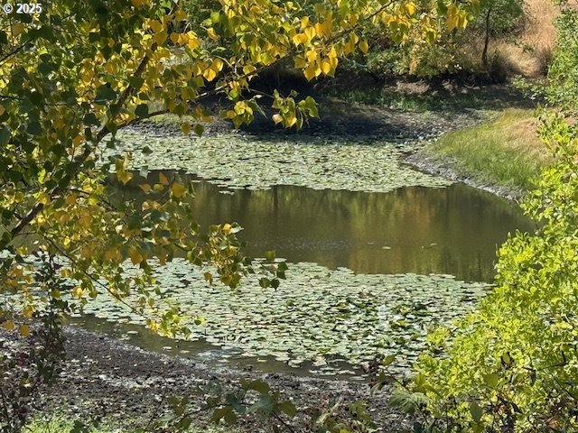 1604 SPRING BROOK RD