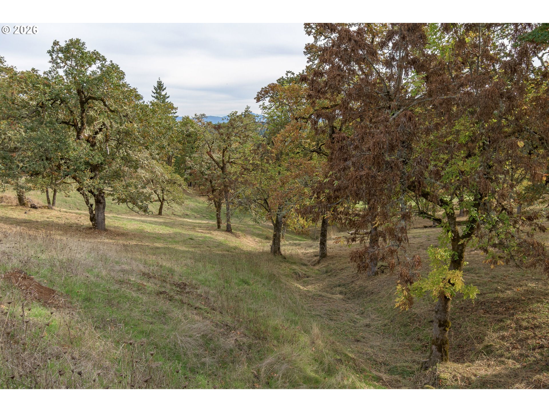 Hidden Meadows