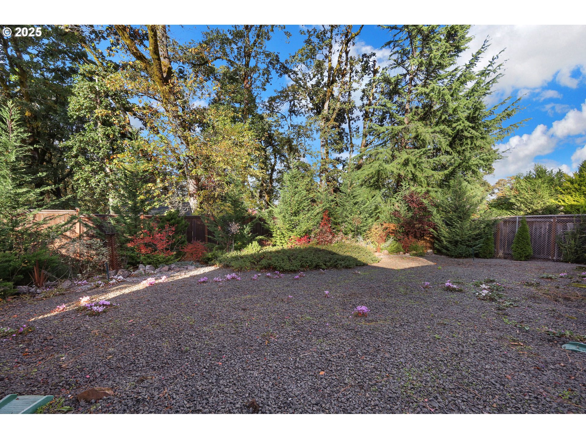 Eugene, Oregon 97405, United States, 3 Bedrooms Bedrooms, ,1 BathroomBathrooms,Residential,Active,240968