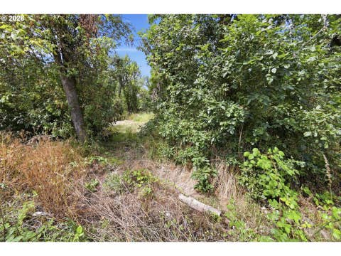 Tiny photo for 515 Pine Ct, Creswell, OR 97426 (MLS # 762526058)