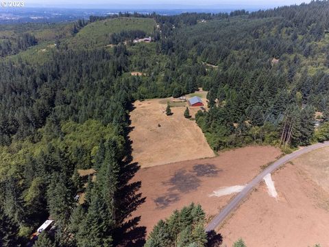 205850000, 205851000 Brush Prairie WA 98606