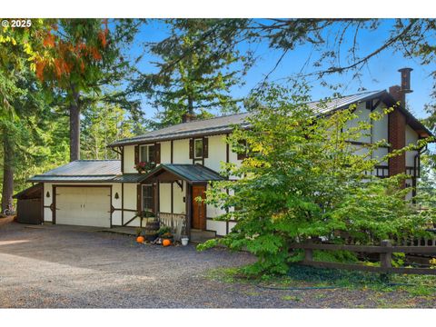 3031 LOOP RD Stevenson WA 98648