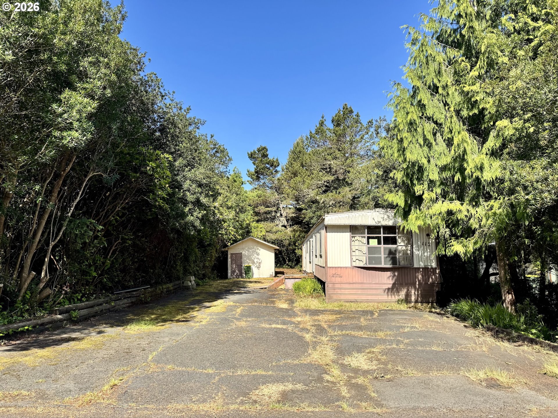 1600 RHODODENDRON DR 113
