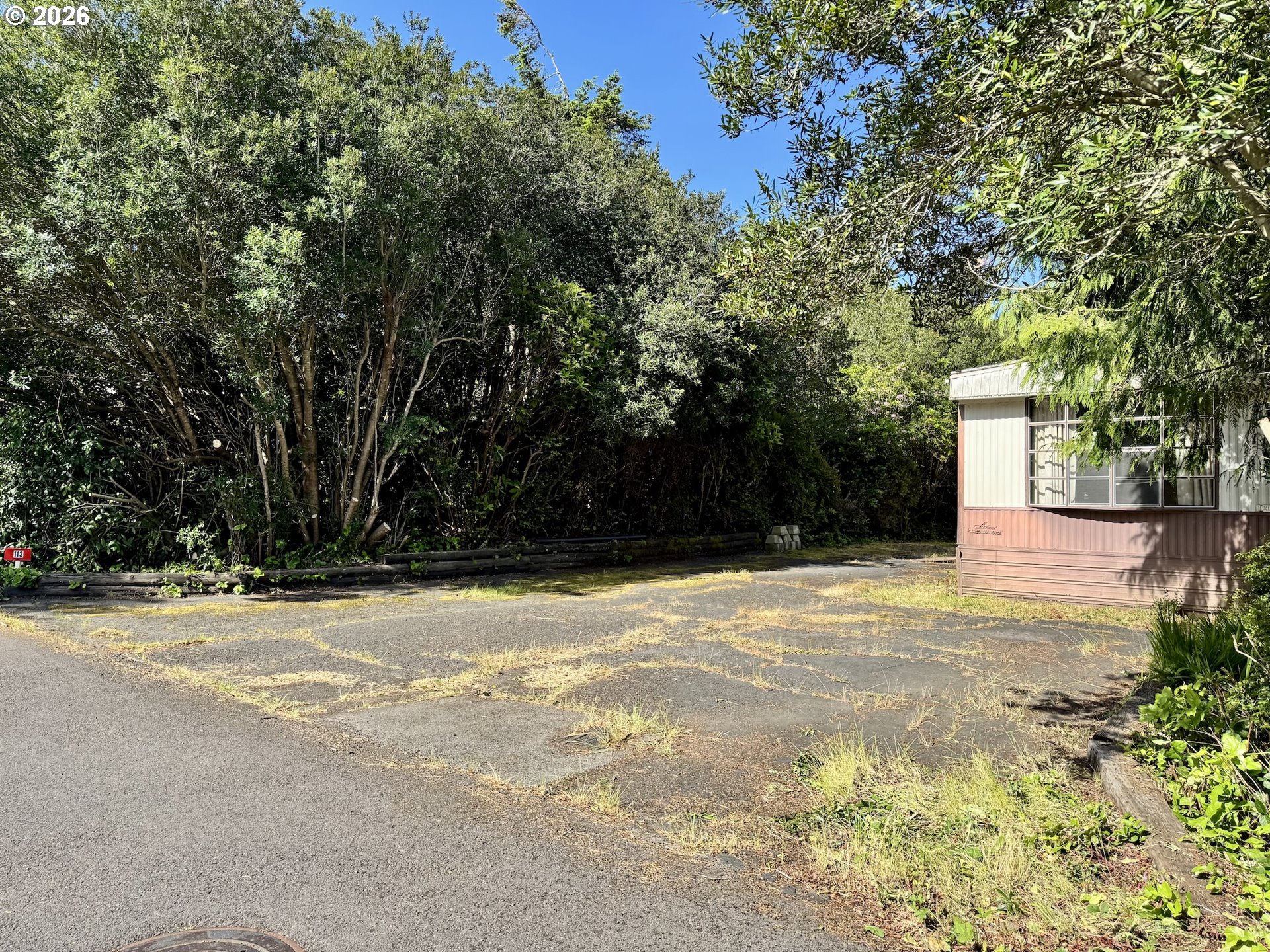 1600 RHODODENDRON DR 113