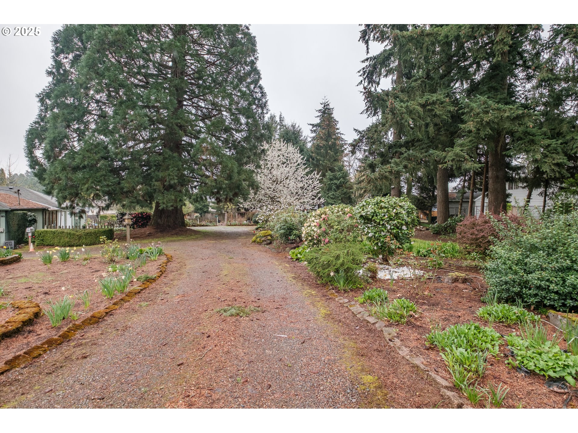 Salem, Oregon 97306, United States, 3 Bedrooms Bedrooms, ,2 BathroomsBathrooms,Residential,Pending,107144