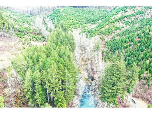 MARYS PEAK RD, BLODGETT, OR 97326 - Image 2ccde3207ba3db4037f1cb41e4cb71a6/640431625