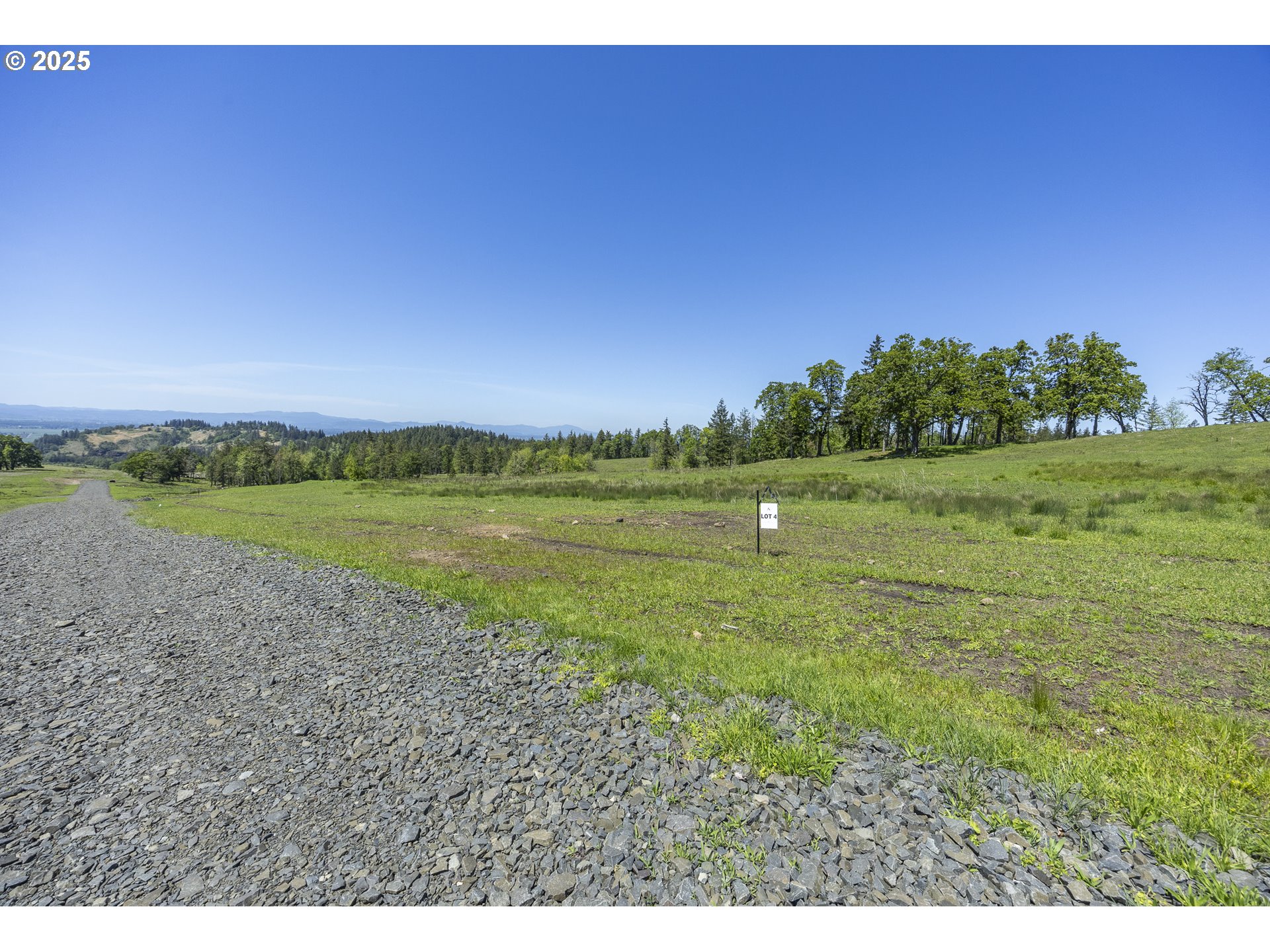 Lot 4