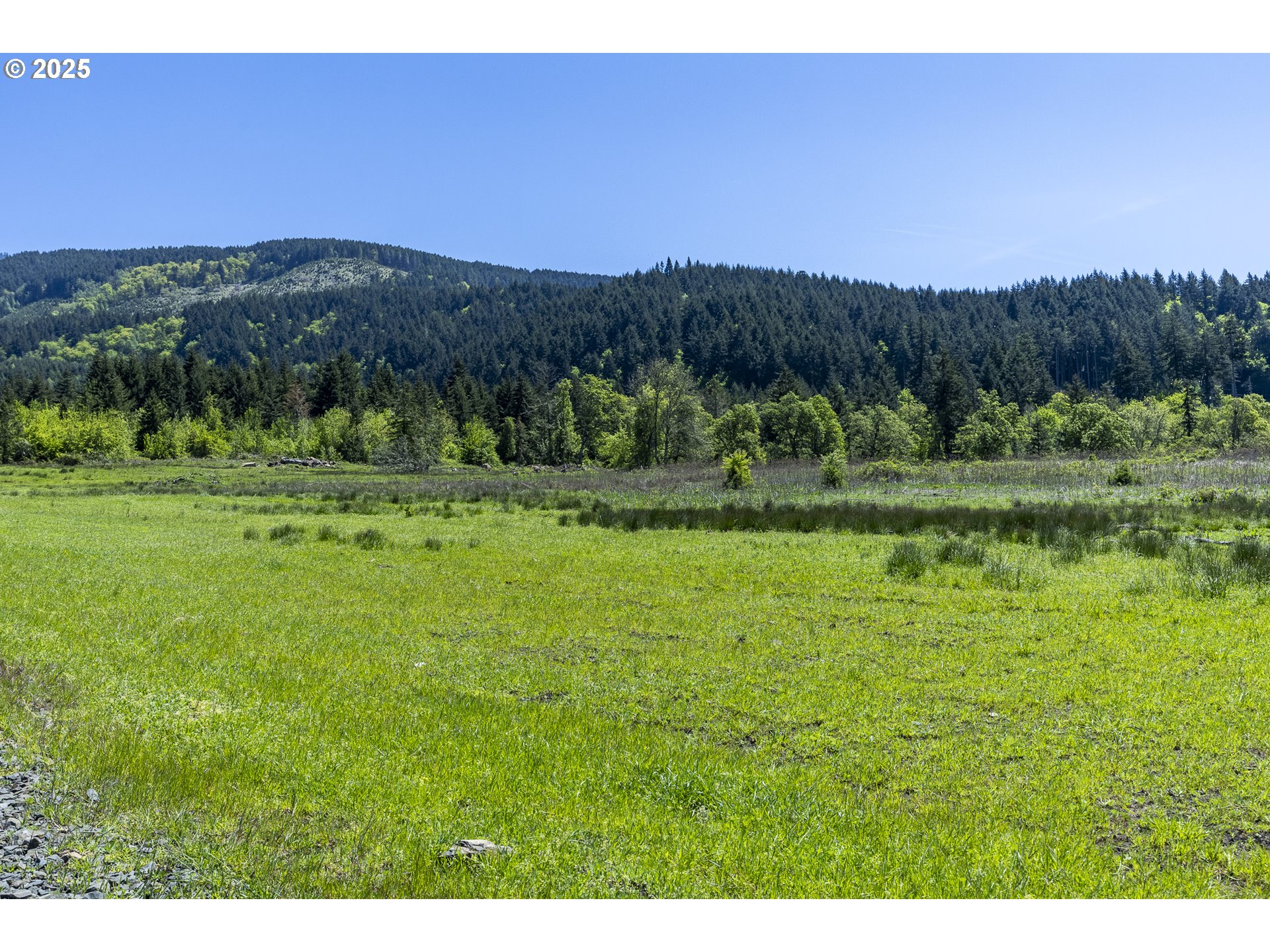 Lot 4