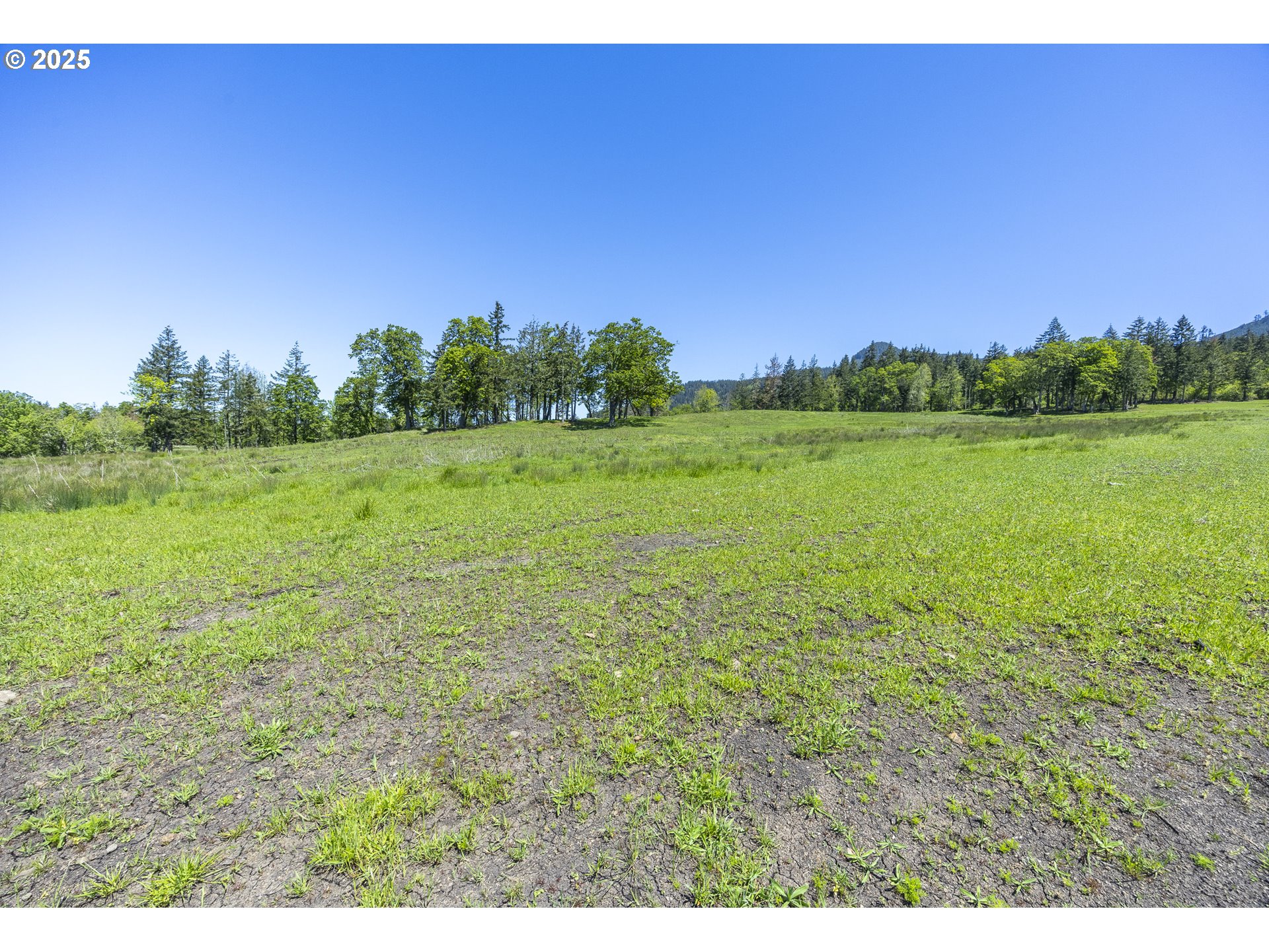 Lot 4