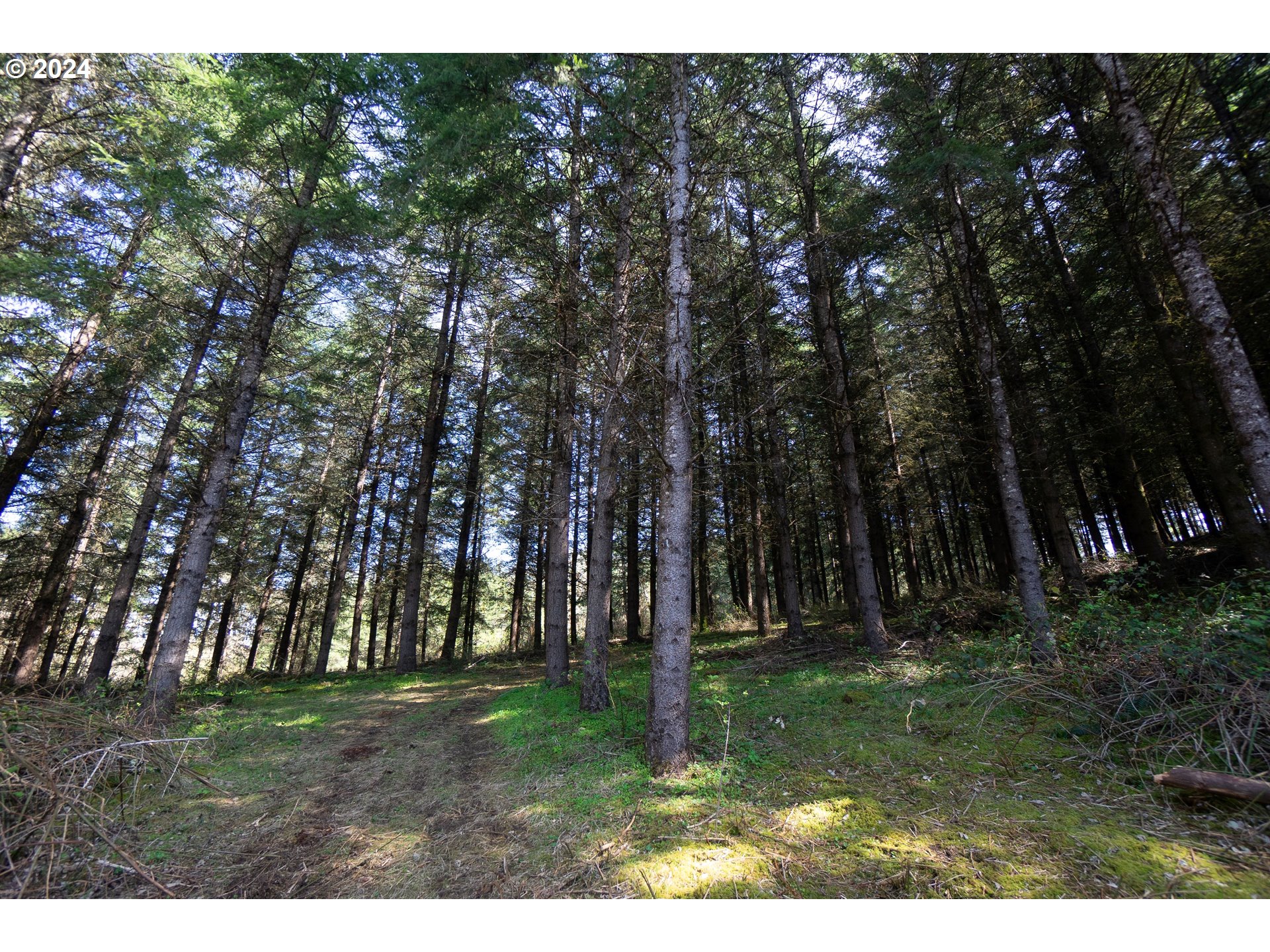 Dallas, Oregon 97338, United States, 3 Bedrooms Bedrooms, ,2 BathroomsBathrooms,Residential,Active,61408