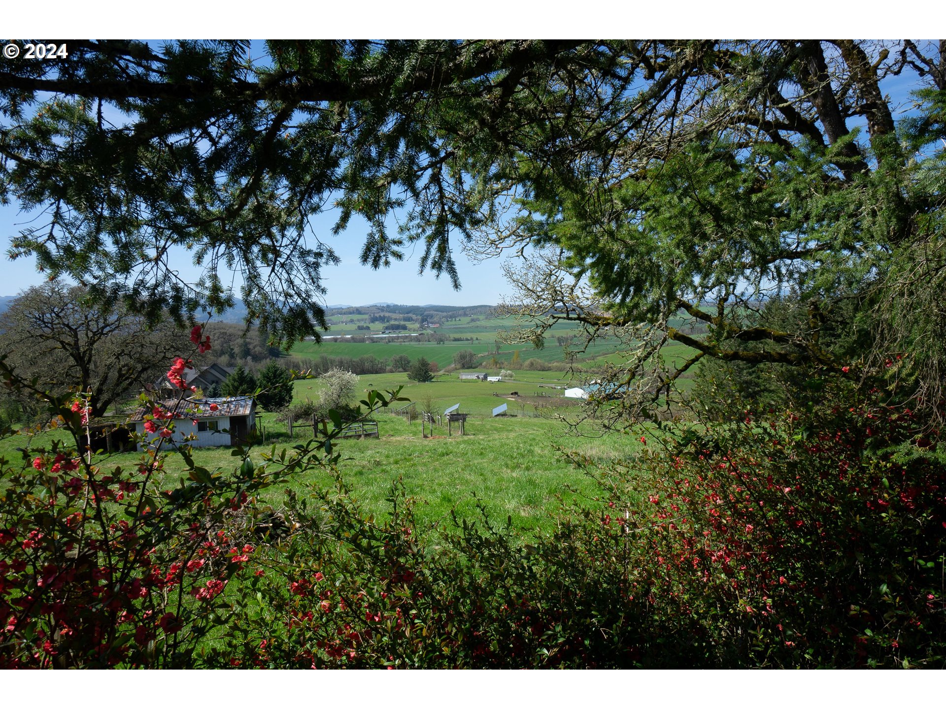 Dallas, Oregon 97338, United States, 3 Bedrooms Bedrooms, ,2 BathroomsBathrooms,Residential,Active,61408