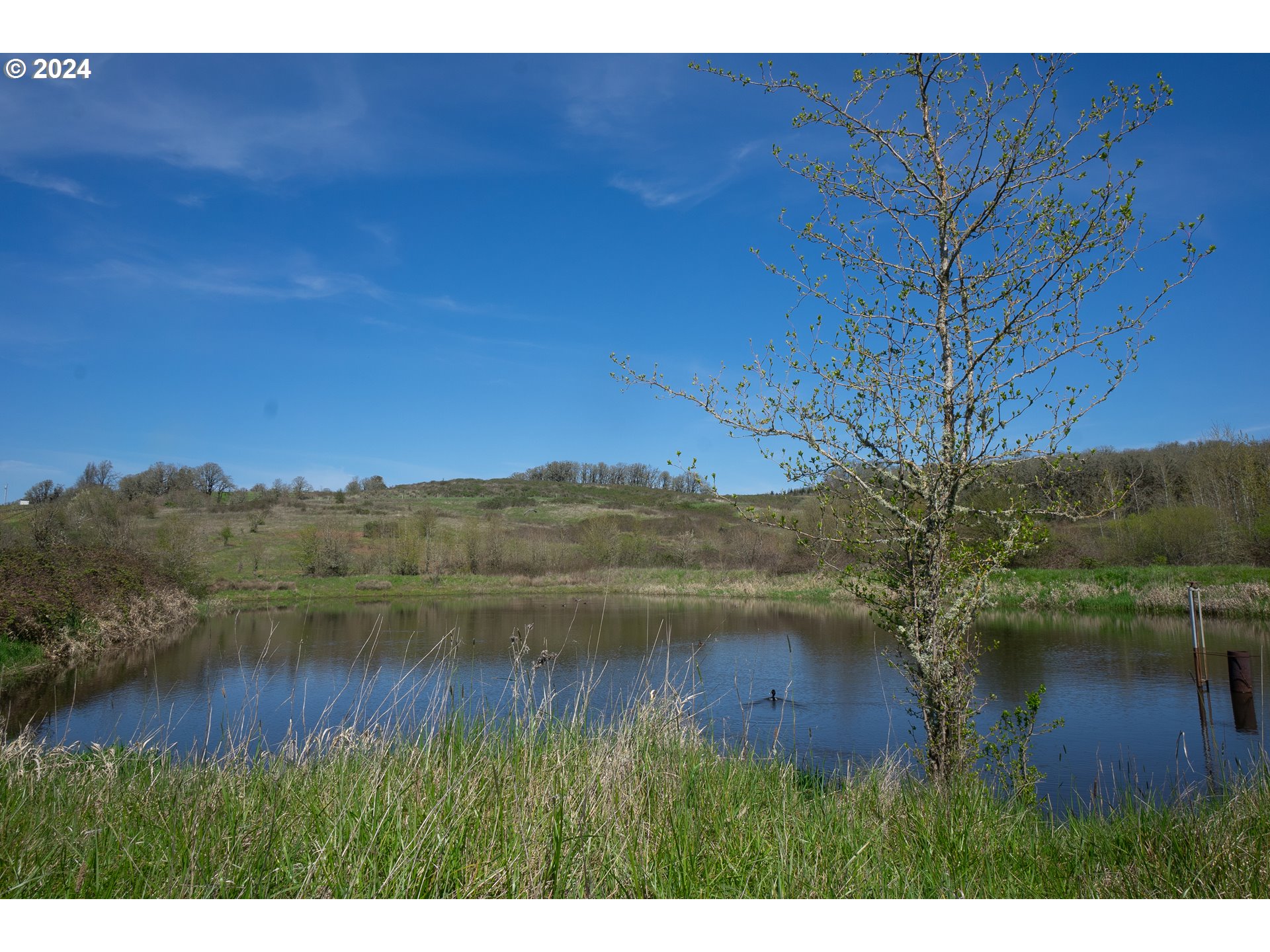 Dallas, Oregon 97338, United States, 3 Bedrooms Bedrooms, ,2 BathroomsBathrooms,Residential,Active,61408
