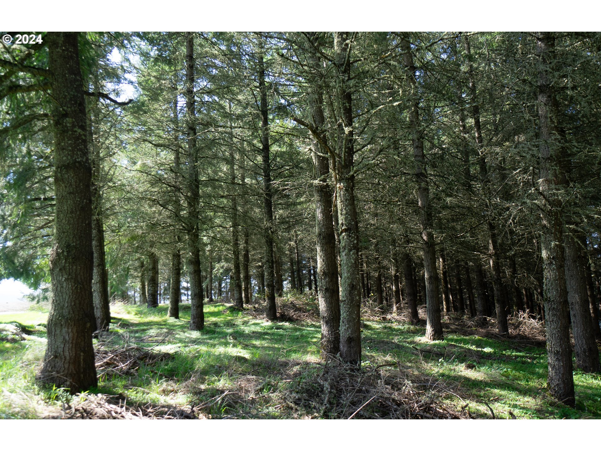 Dallas, Oregon 97338, United States, 3 Bedrooms Bedrooms, ,2 BathroomsBathrooms,Residential,Active,61408