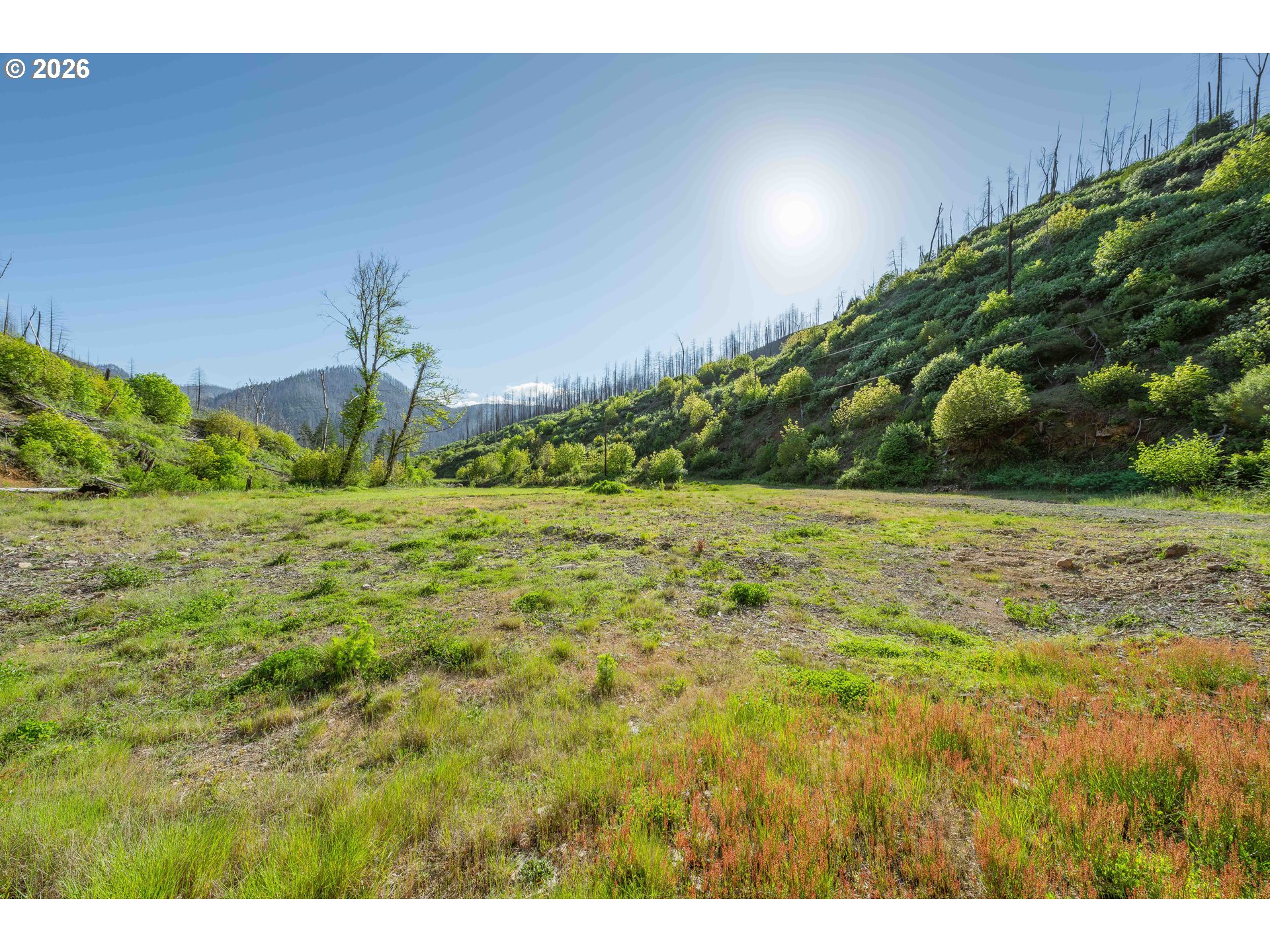 942 HONEY CREEK RD