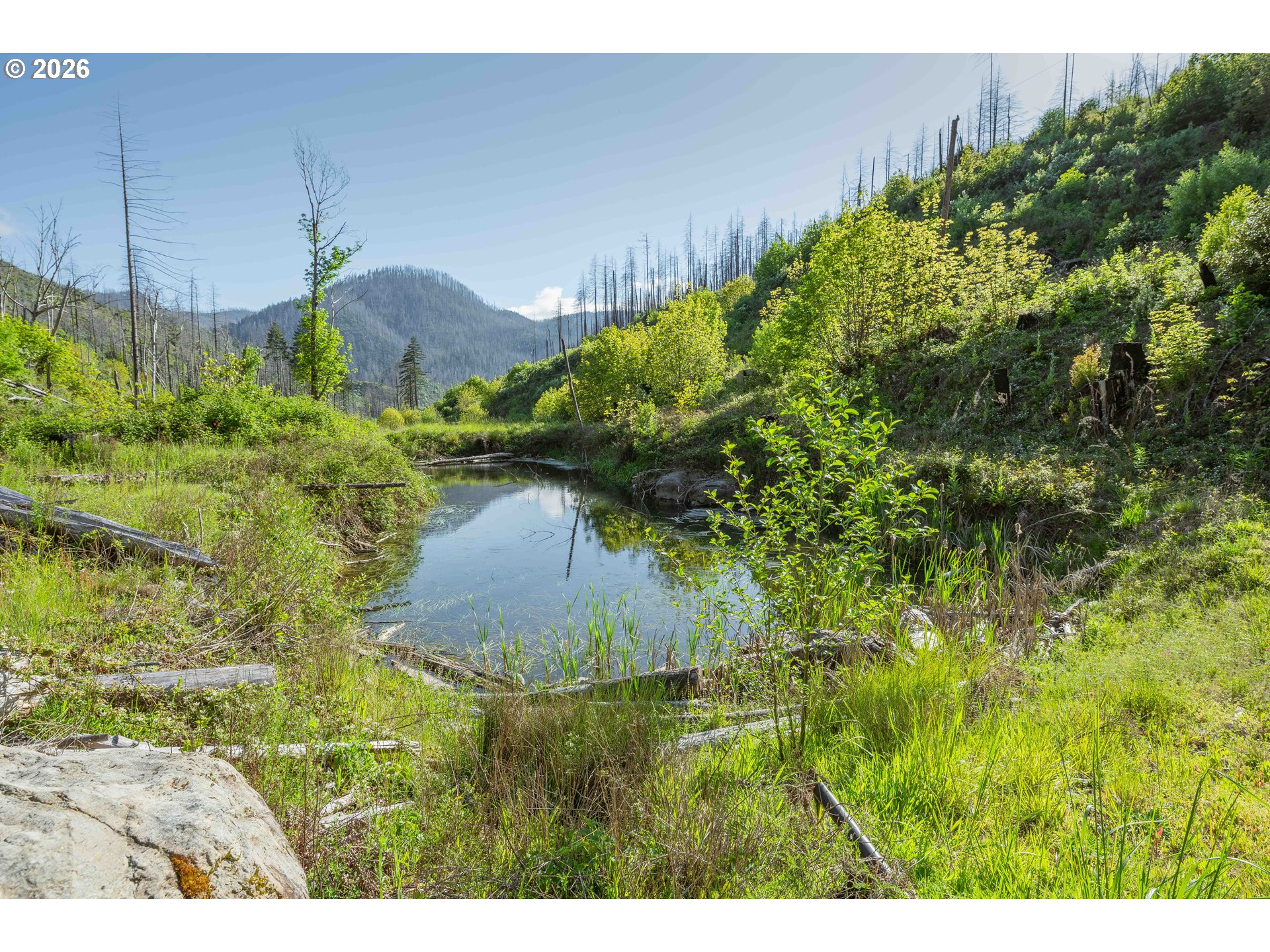 942 HONEY CREEK RD