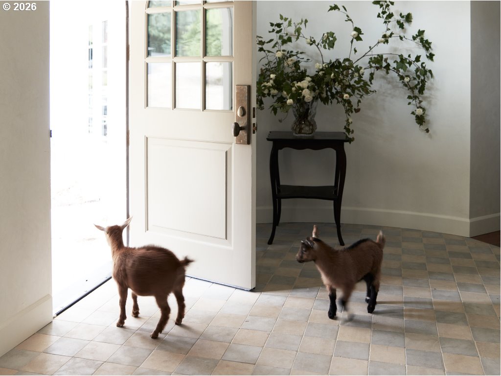 3585 DEER LAKE CT SE