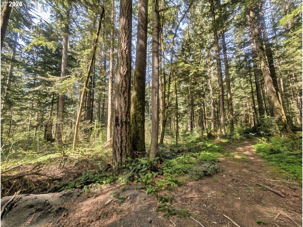 62955 E MOUNTAIN COUNTRY LN