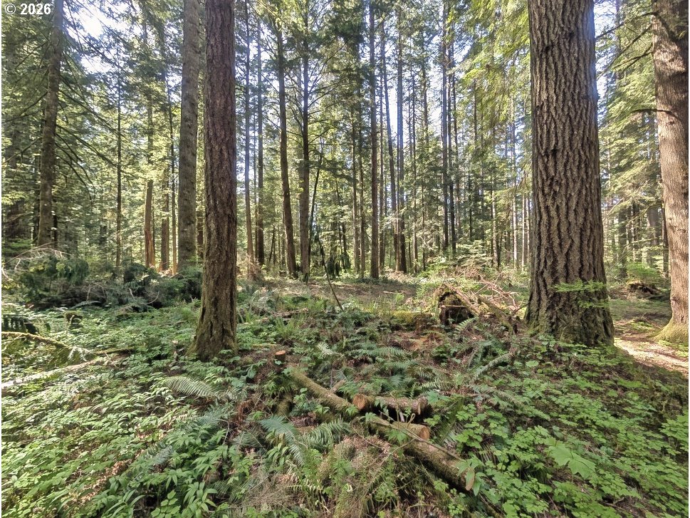 62955 E MOUNTAIN COUNTRY LN