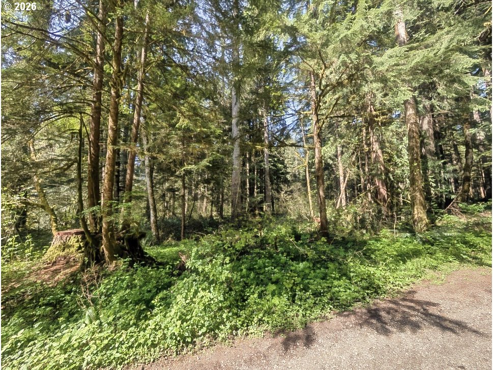 62955 E MOUNTAIN COUNTRY LN