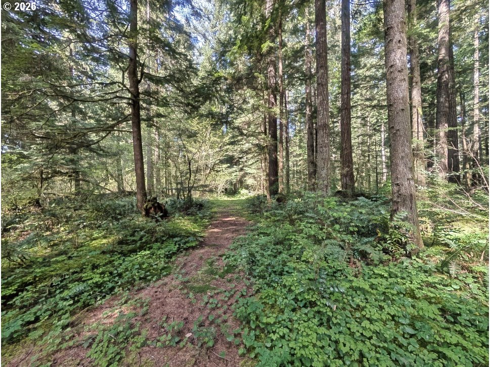 62955 E MOUNTAIN COUNTRY LN