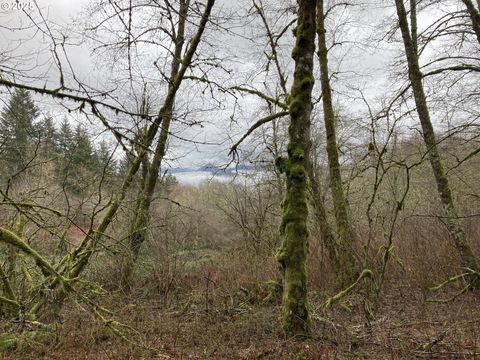 NE 197th CT Amboy WA 98601