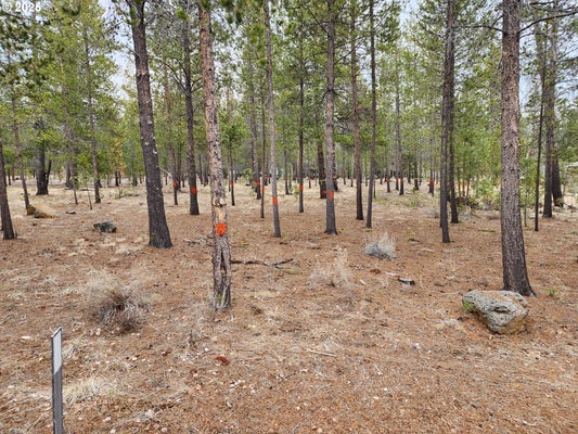 57626 CULTUS LN, SUNRIVER, OR 97707 - Image 2f313352af2dd2e109b8bc06d0c92710/3629086020