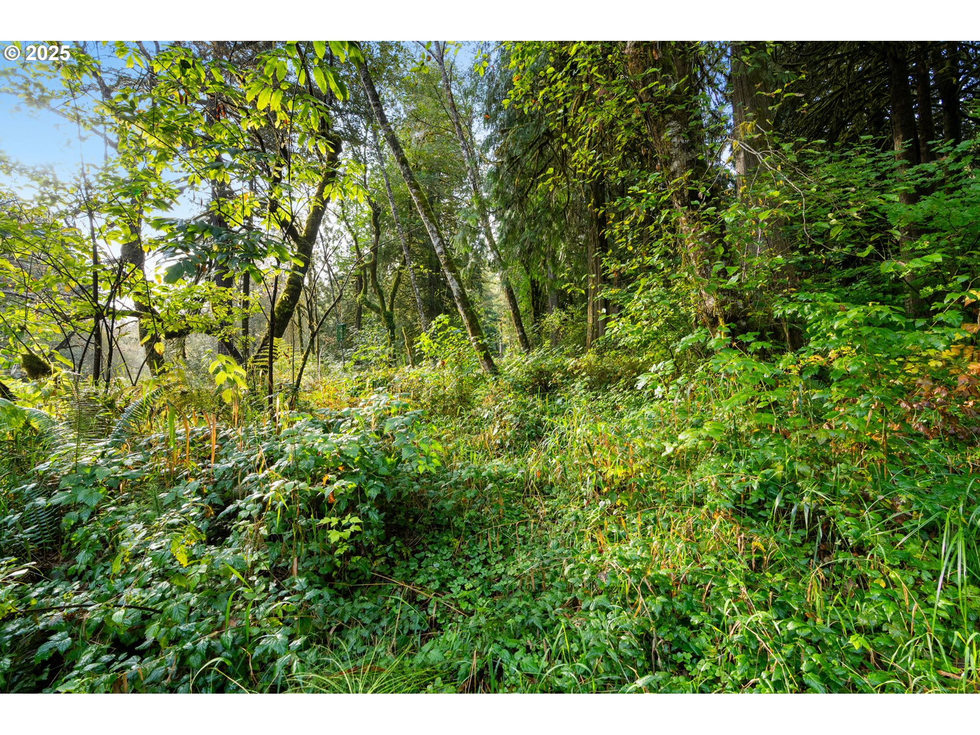 0000 NE Cedar Creek RD