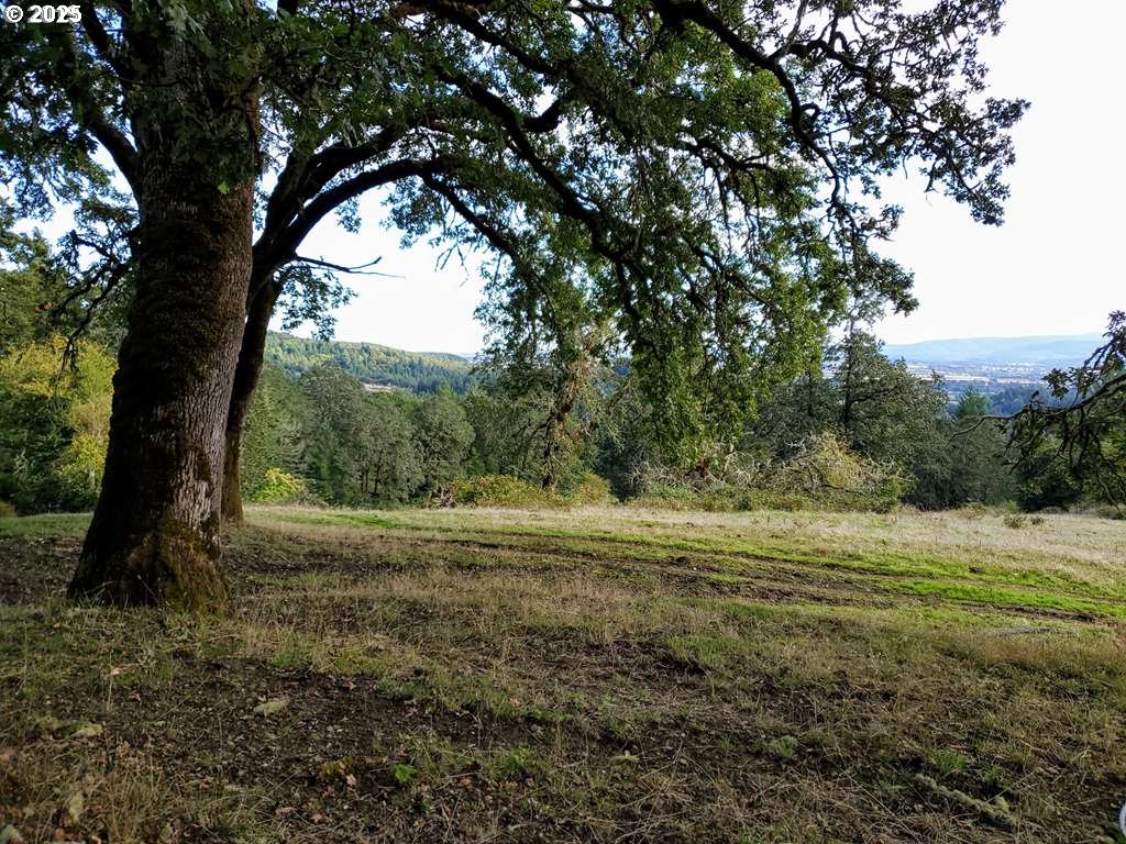 19105 SW Rock Creek RD