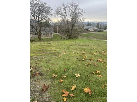 Photo of 0 SE Apple St, Oakland, OR 97462 (MLS # 444272533)