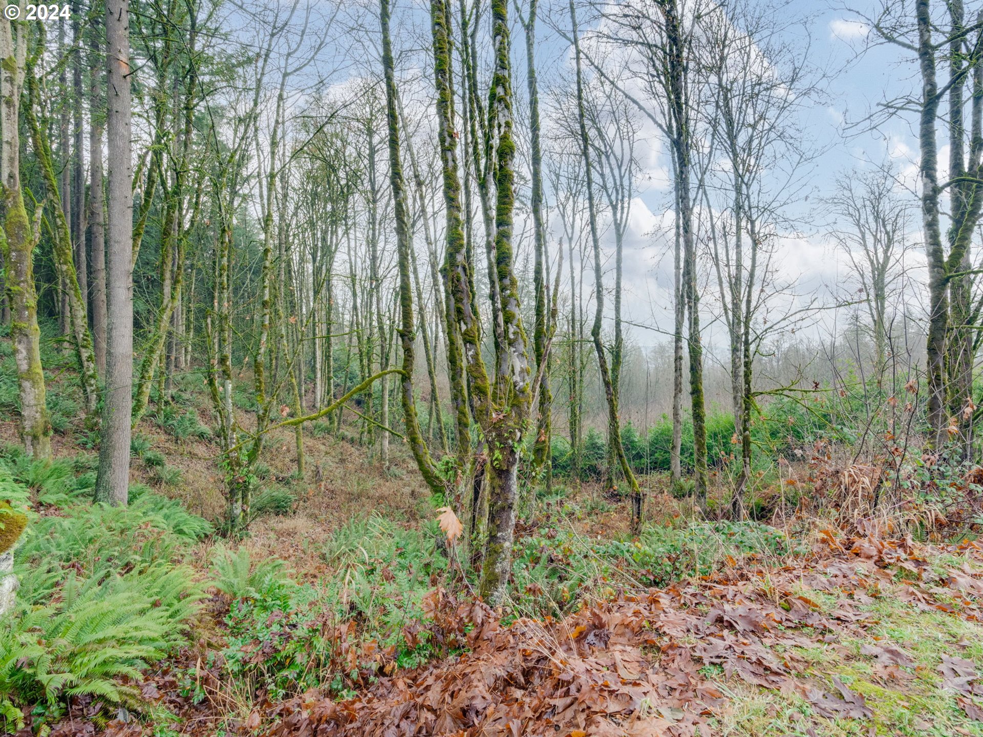 Rainier, Oregon 97048, United States, 3 Bedrooms Bedrooms, ,2 BathroomsBathrooms,Residential,Active,26426