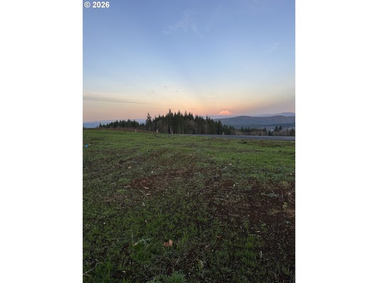 216 SUNCREST DR, CASTLE ROCK, WA 98611 - Image 30b7d3e98c2d8ada2817e6129c599caa/1459903572