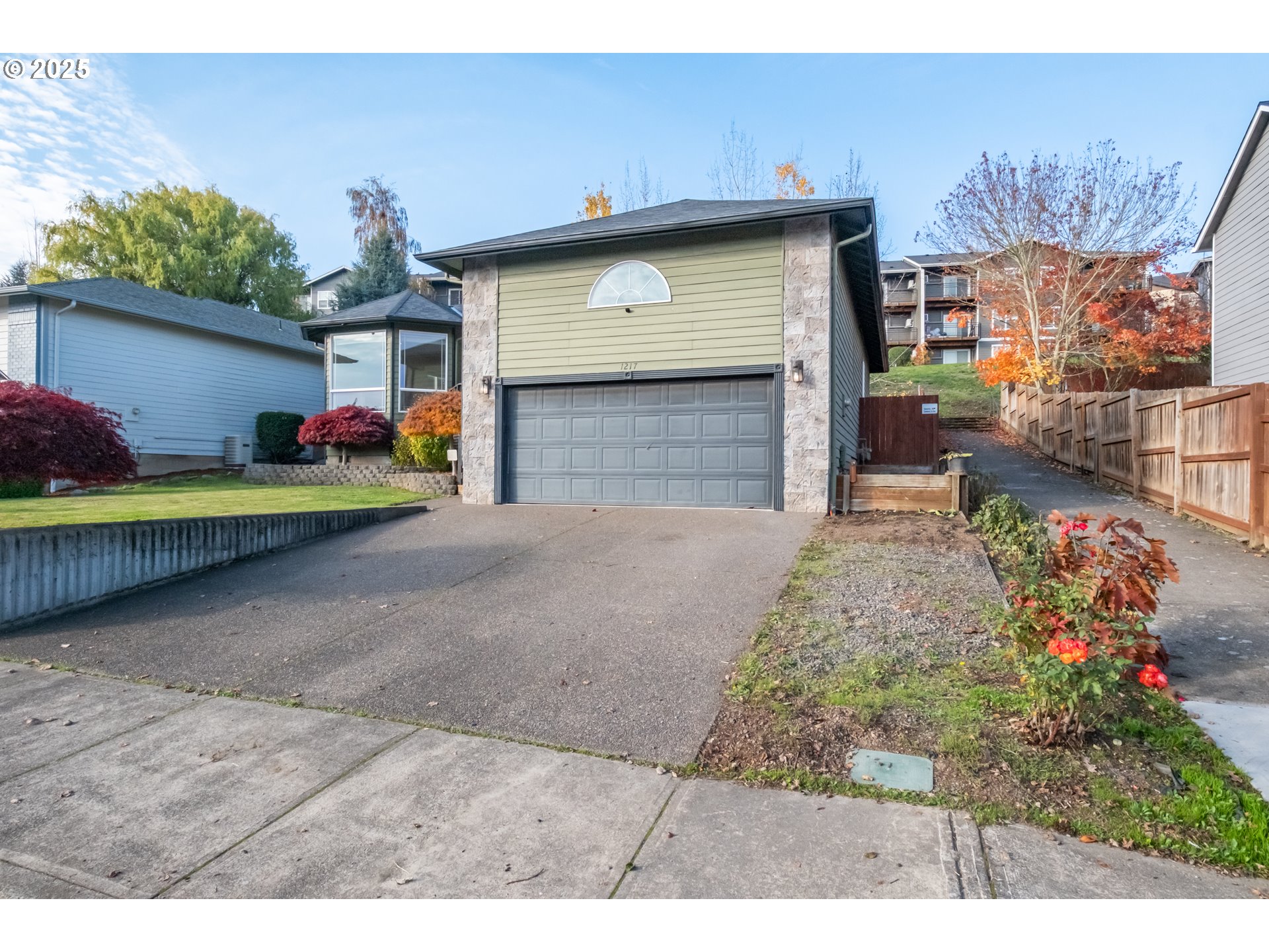 1217 HORIZON RIDGE CT