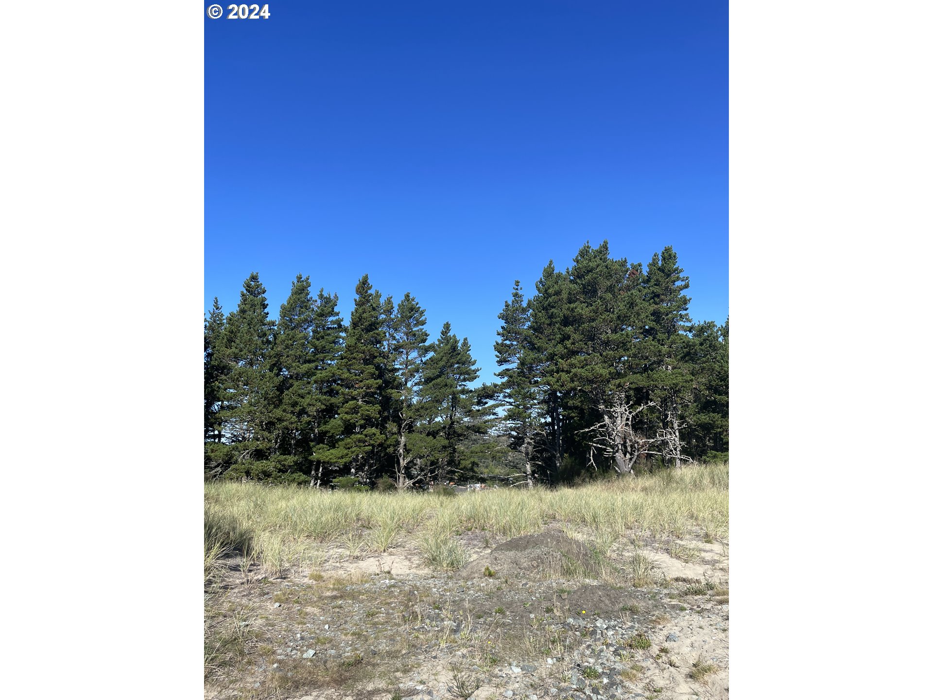 Manzanita, Oregon 97130, United States, ,Land,Active,123795