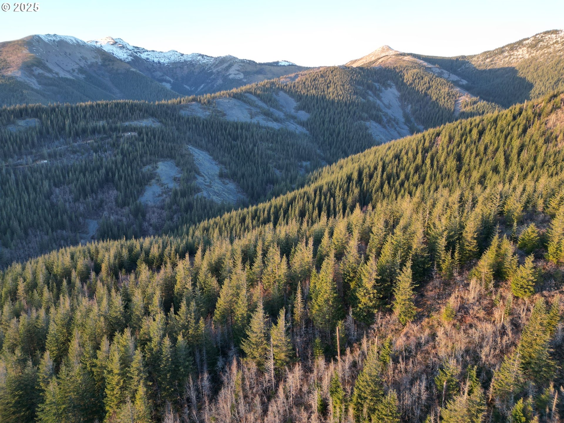 Skamania Mines Rd 2540