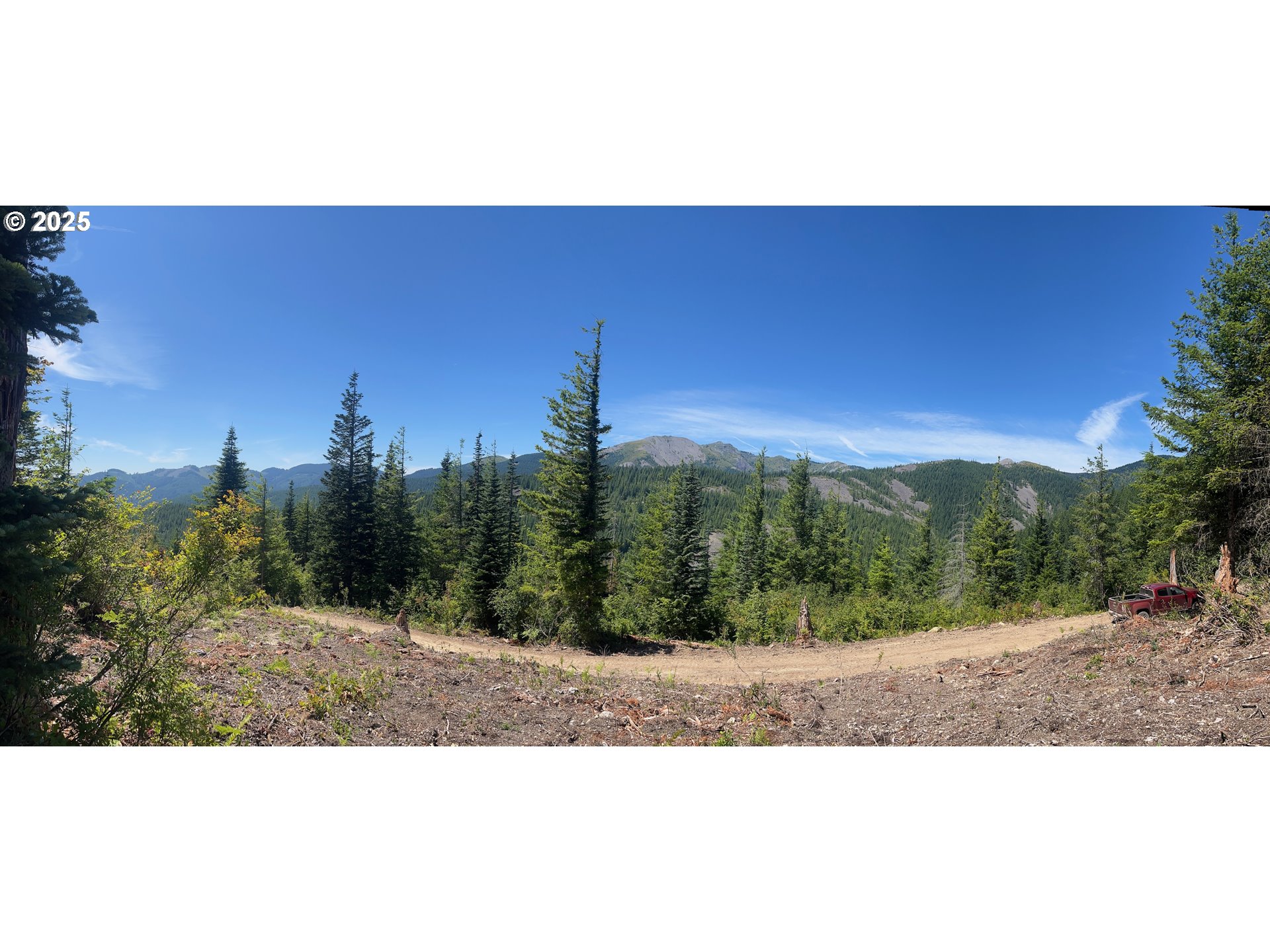 Skamania Mines Rd 2540
