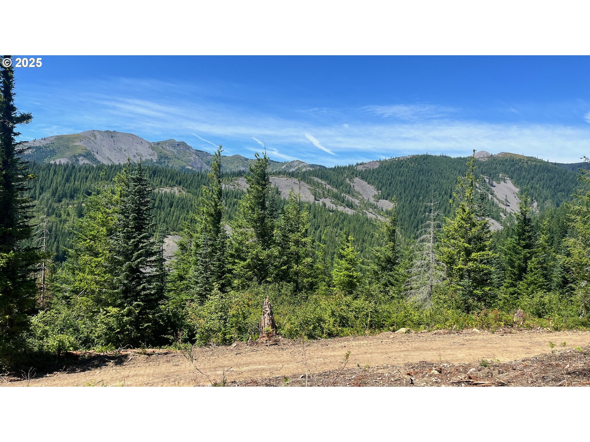 Skamania Mines Rd 2540
