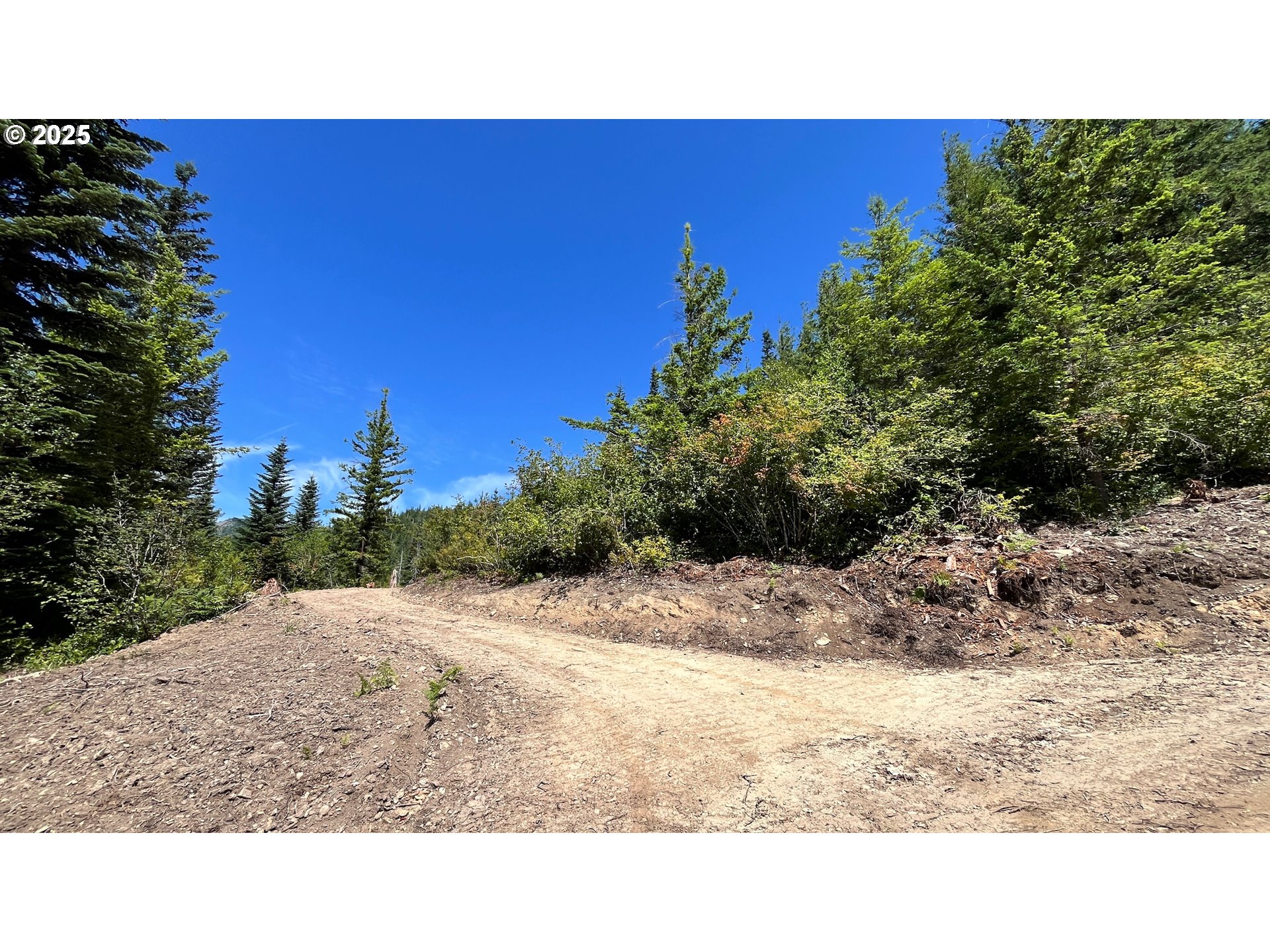 Skamania Mines Rd 2540